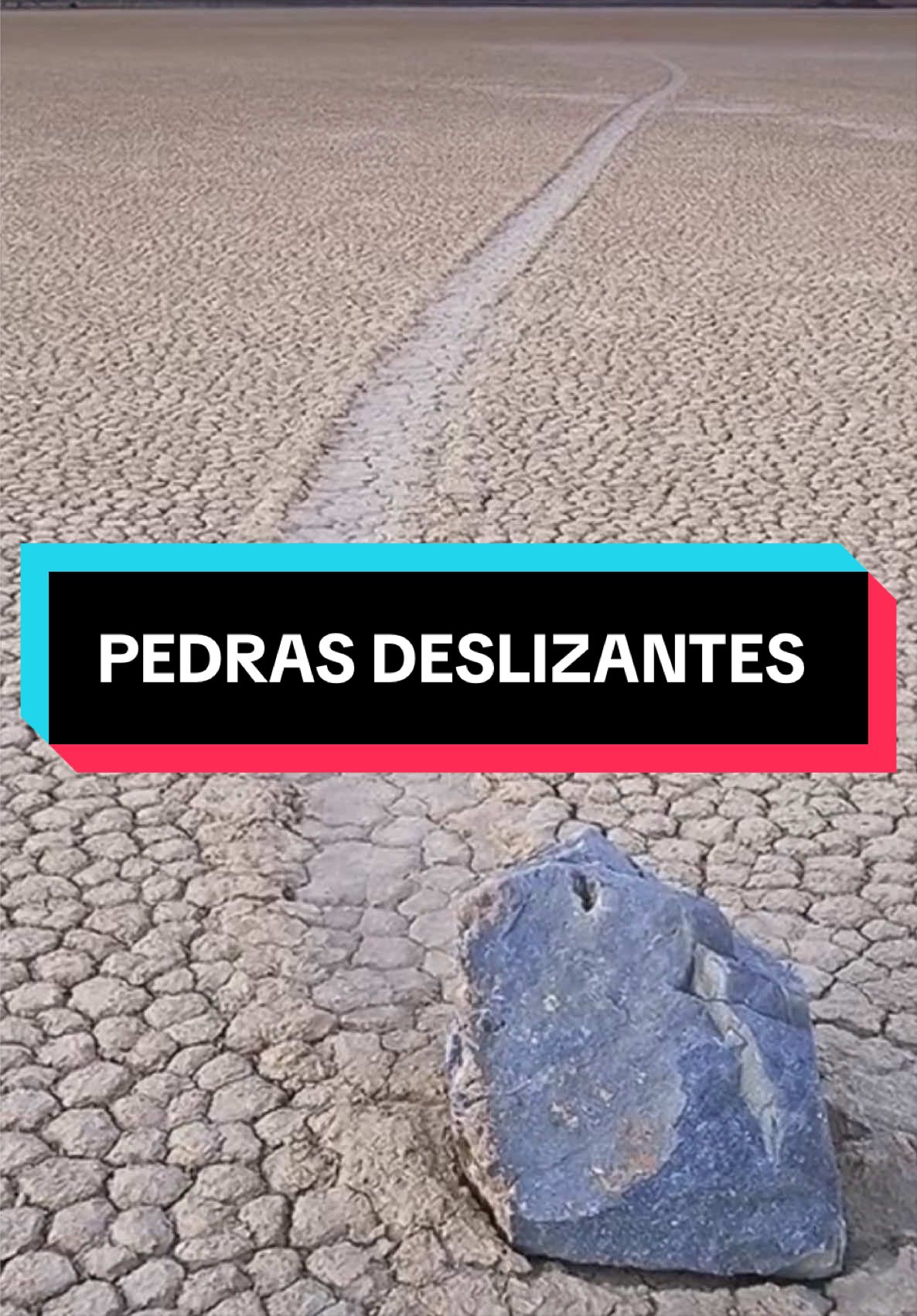 @Pilula de sabedoria