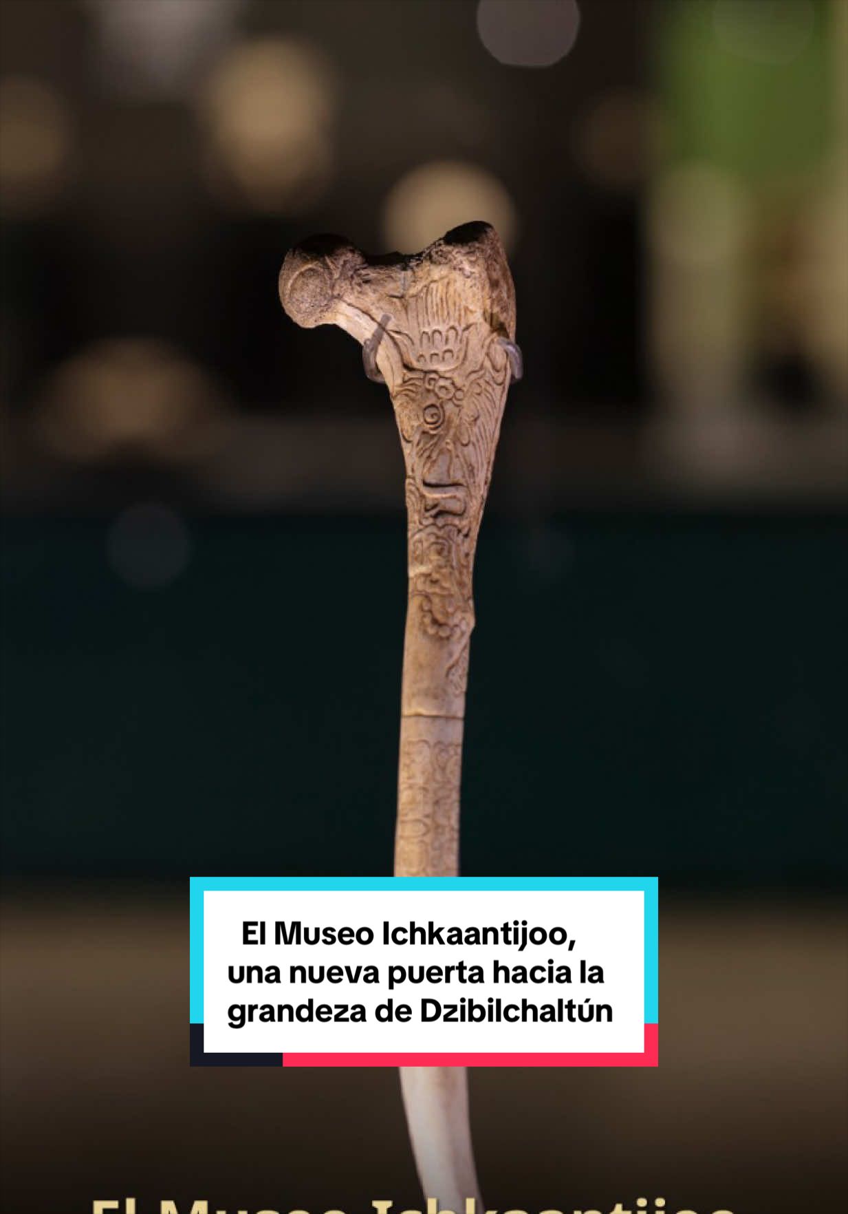 @Secretar&iacute;a de Cultura M&eacute;xico