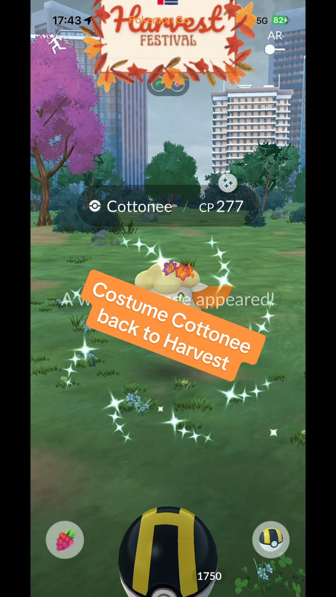 @PamPlaysPoGo🇦🇺