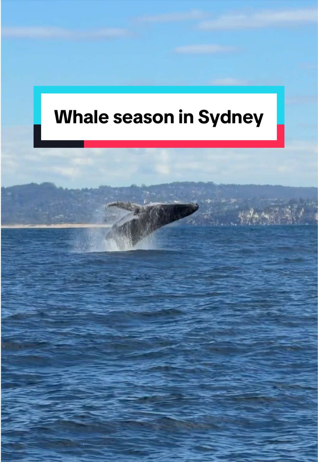 @Sydney