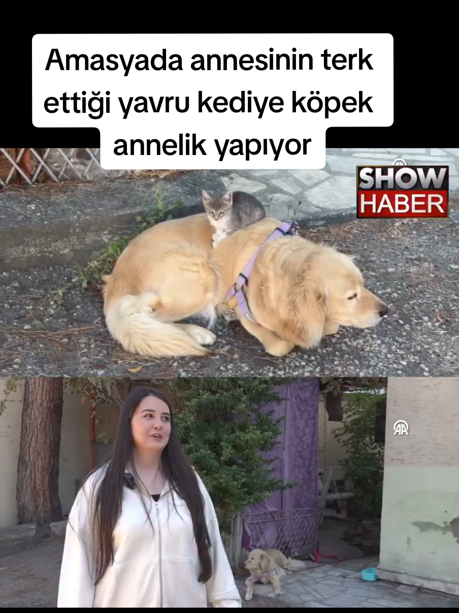 @Sorgunadair