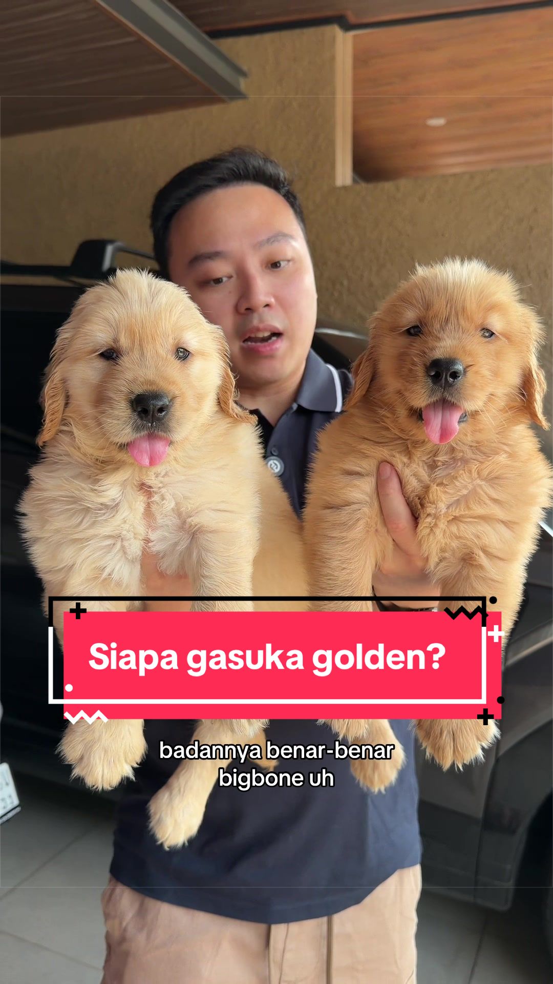 @Koko Guguk