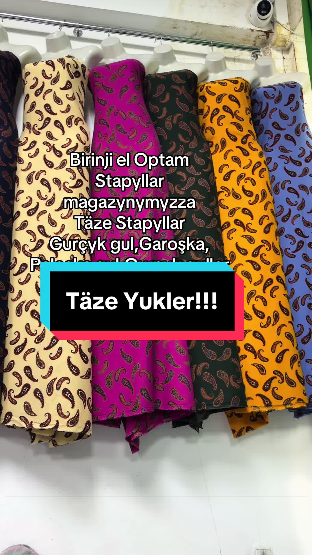 @Birinji el Optam Stapyllar1