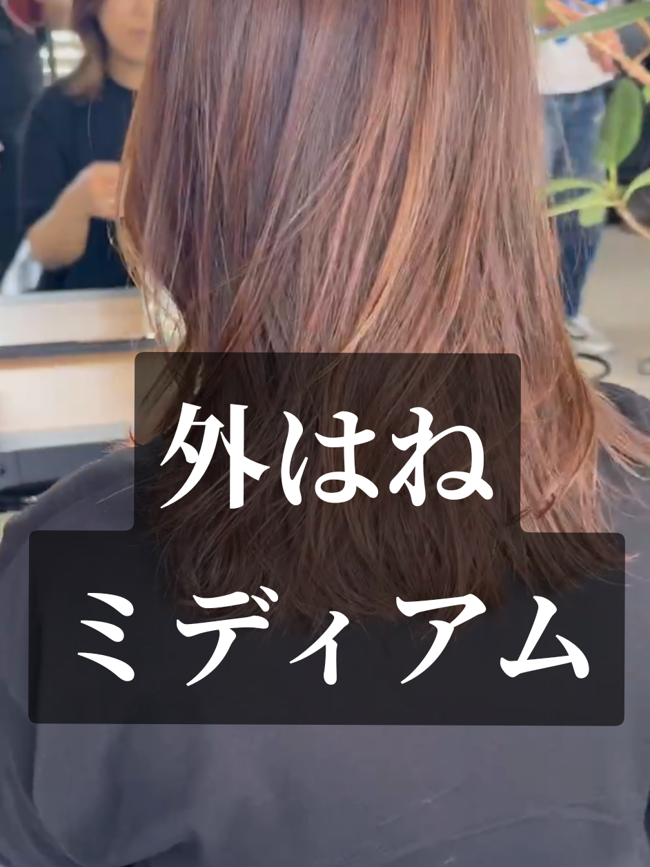 @アップデート