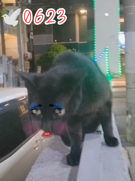 @沖縄セクキャバティンカーベル