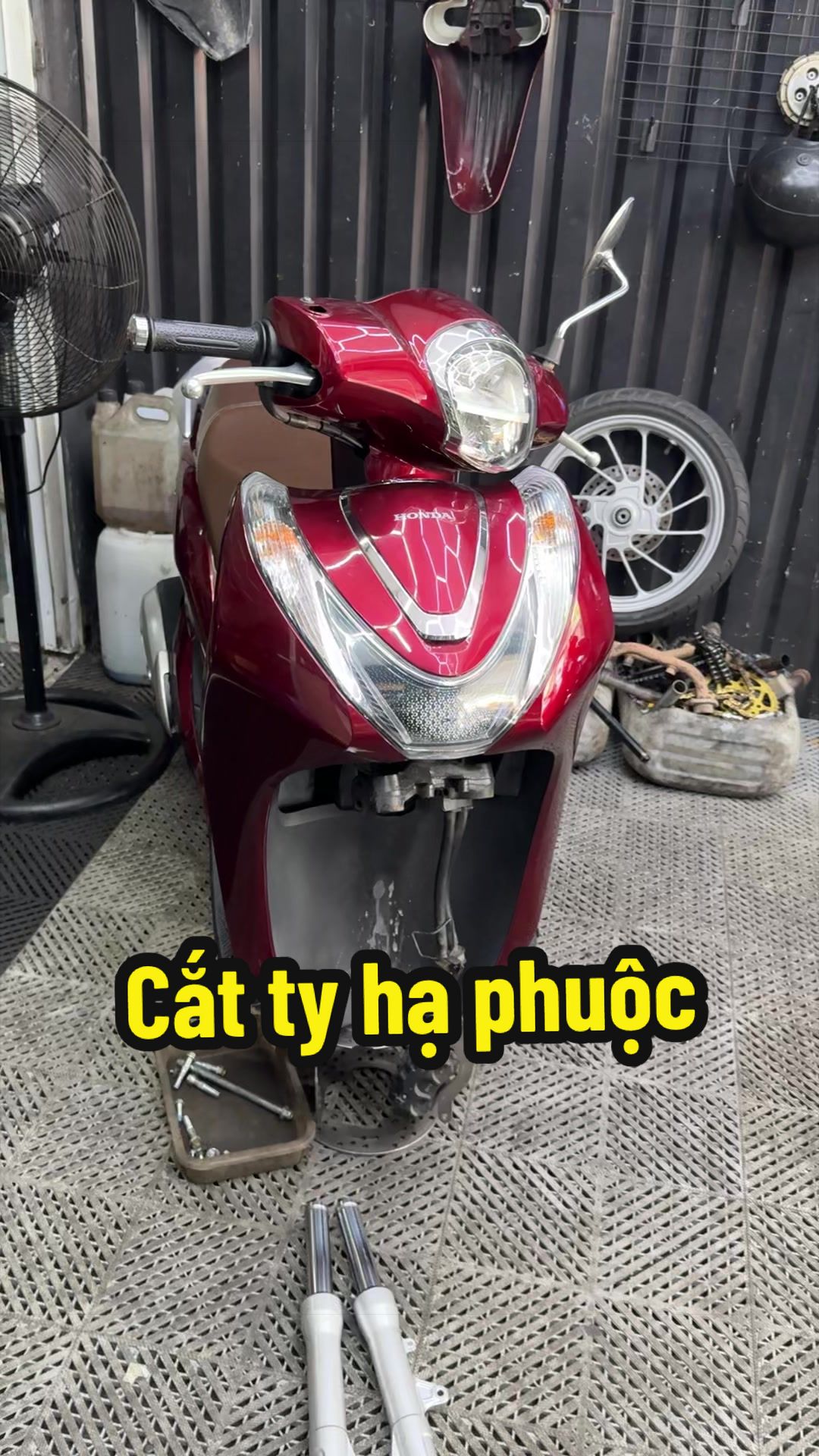 @Đạt Là 🇻🇳