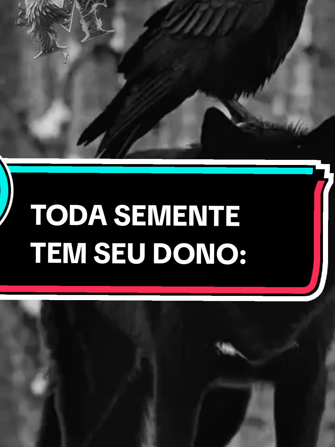 @Massa_FrasesOfc