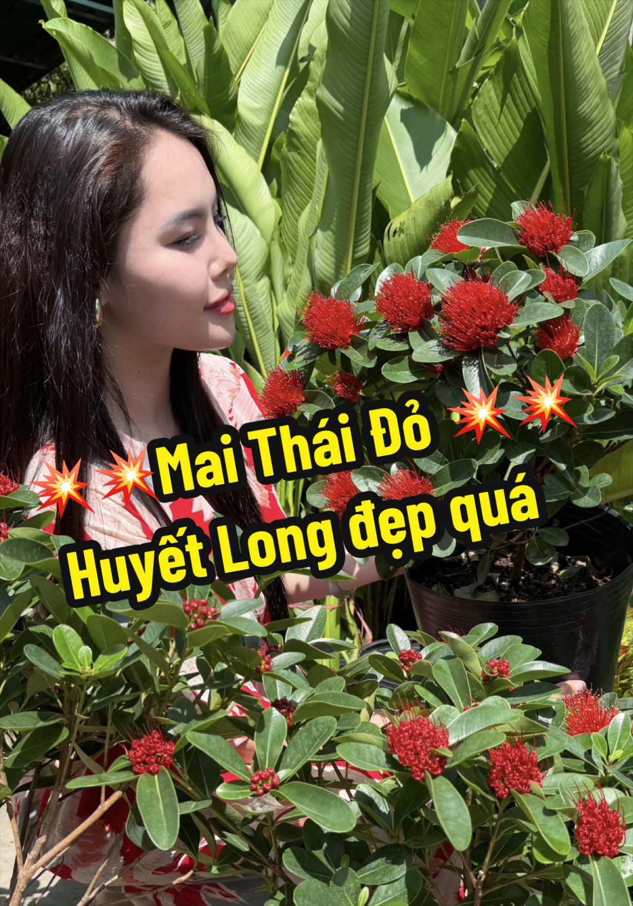 @Tiệm Lá Nhỏ