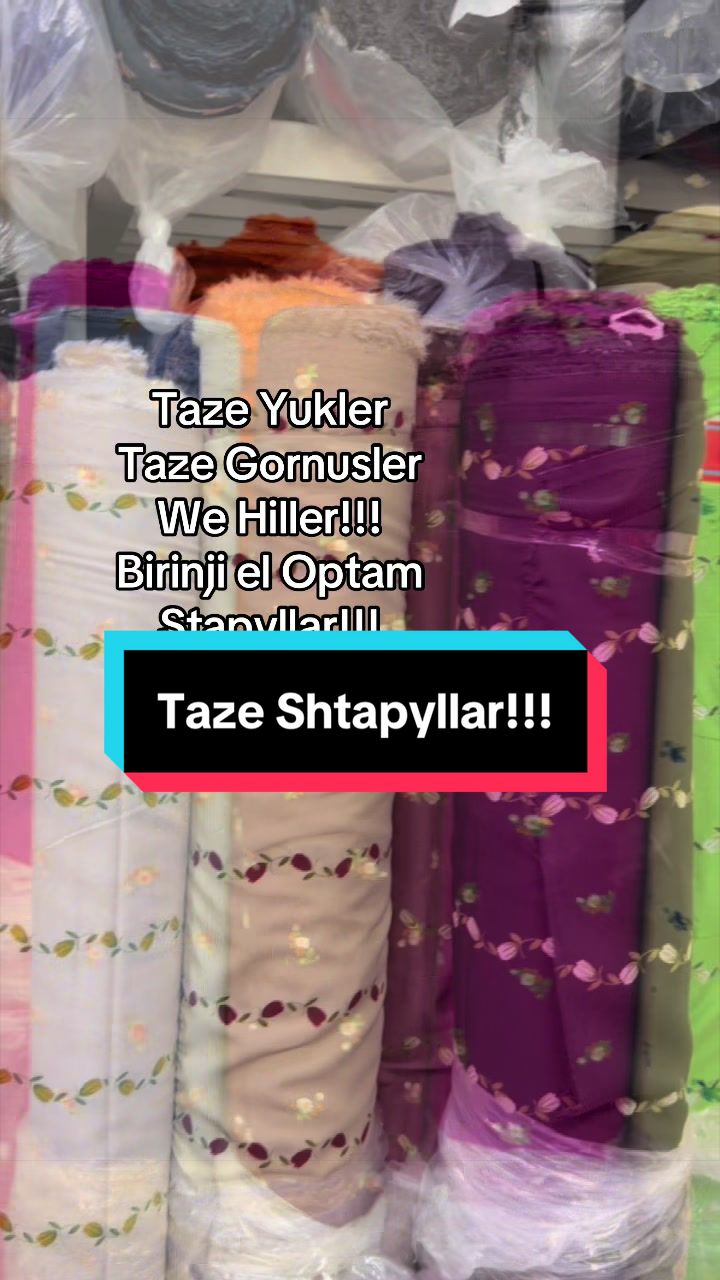 @Birinji el Optam Stapyllar1
