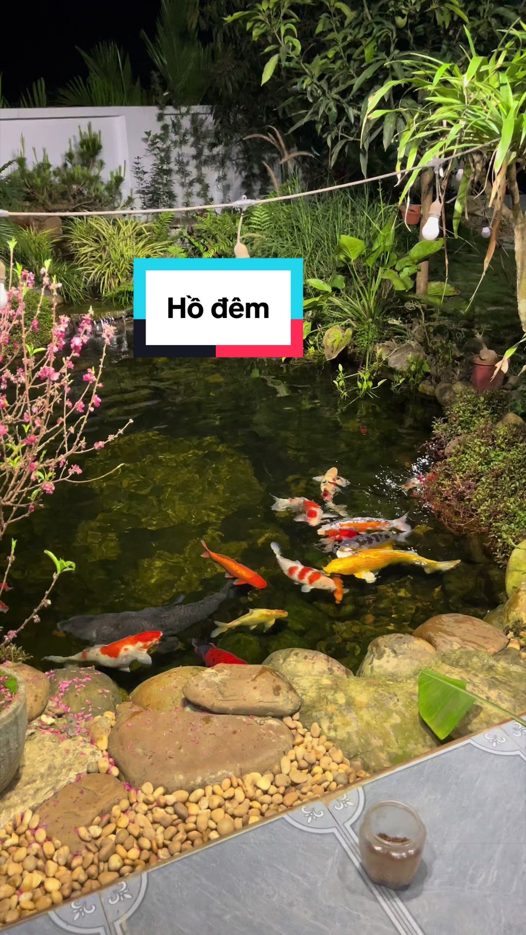 @Đ&H Team