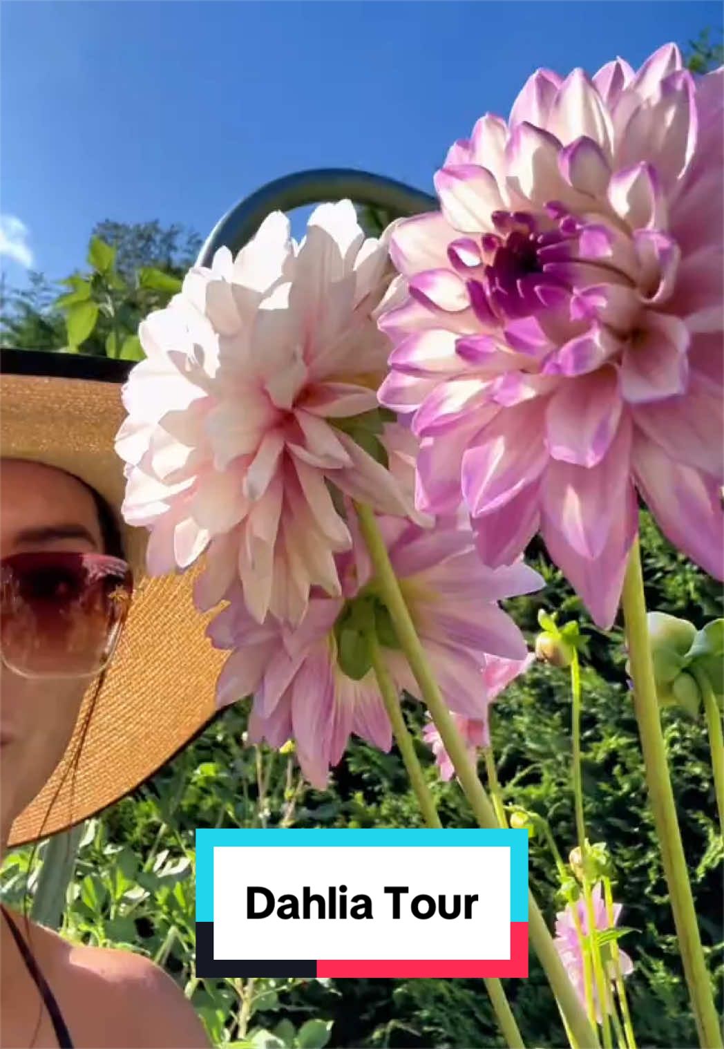 @Ava Dahlia 🇨🇦👩&zwj;🌾✌️
