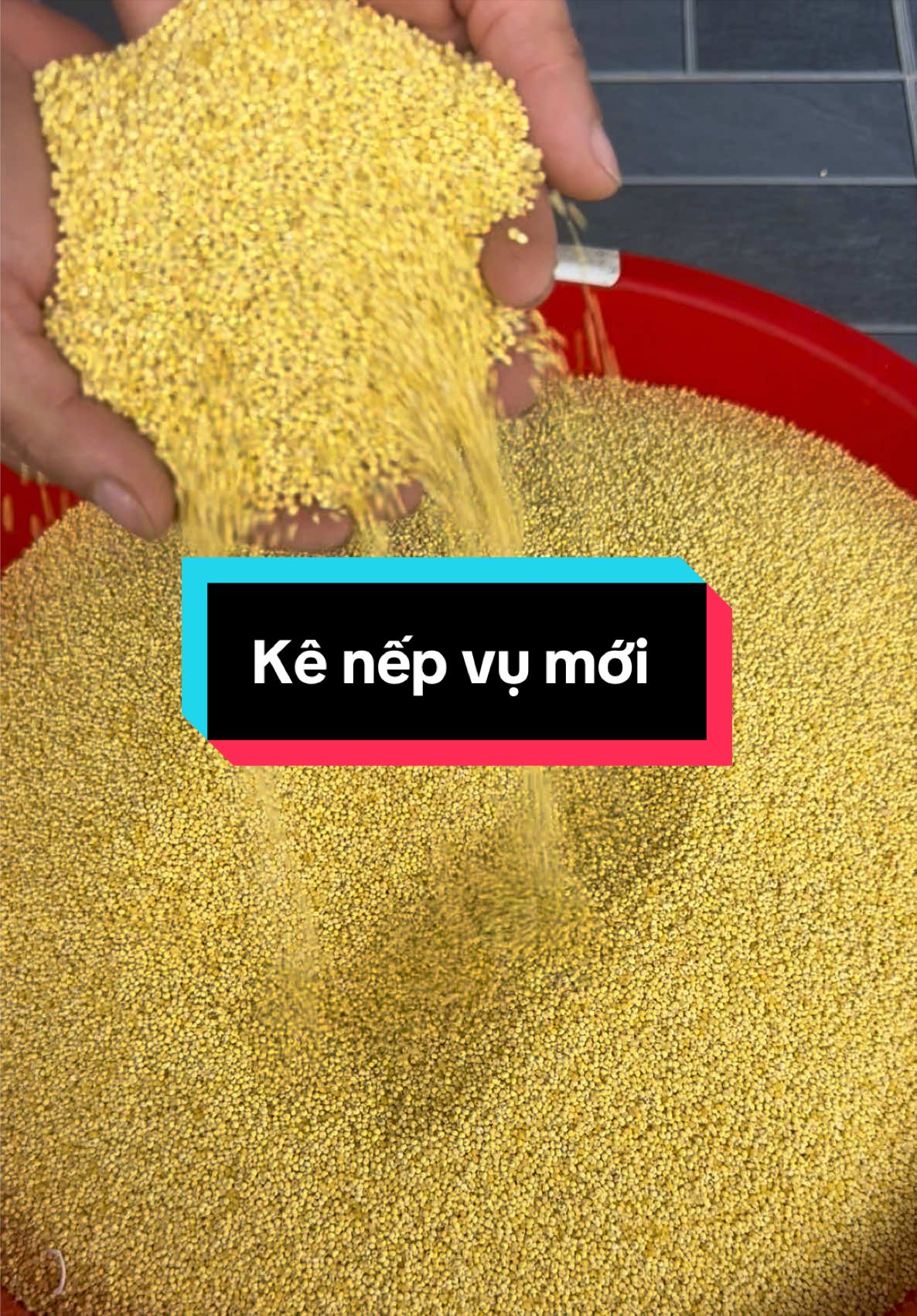 @Thoả Beo Foods - đặc sản