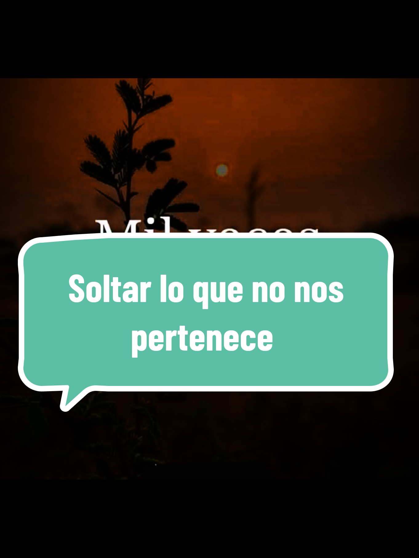 @Leo