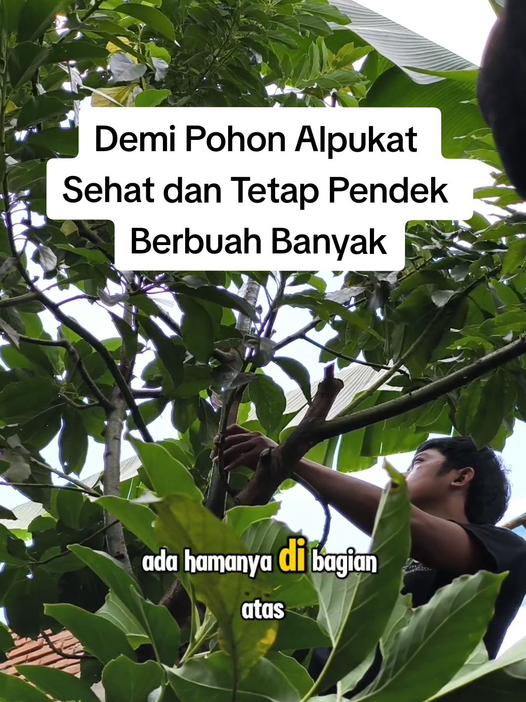 @Ladin Ecofarm
