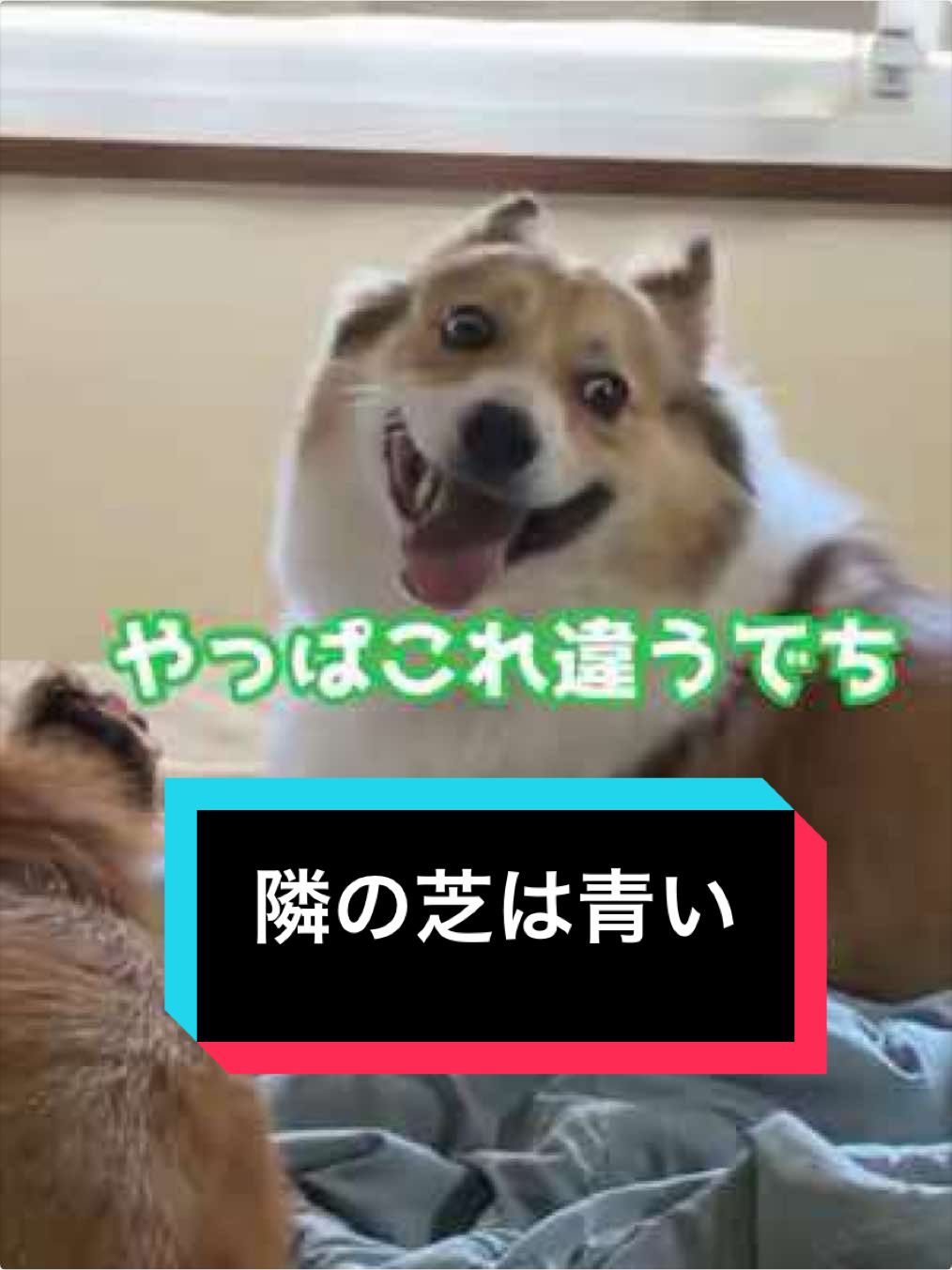 @サクサクビスケット