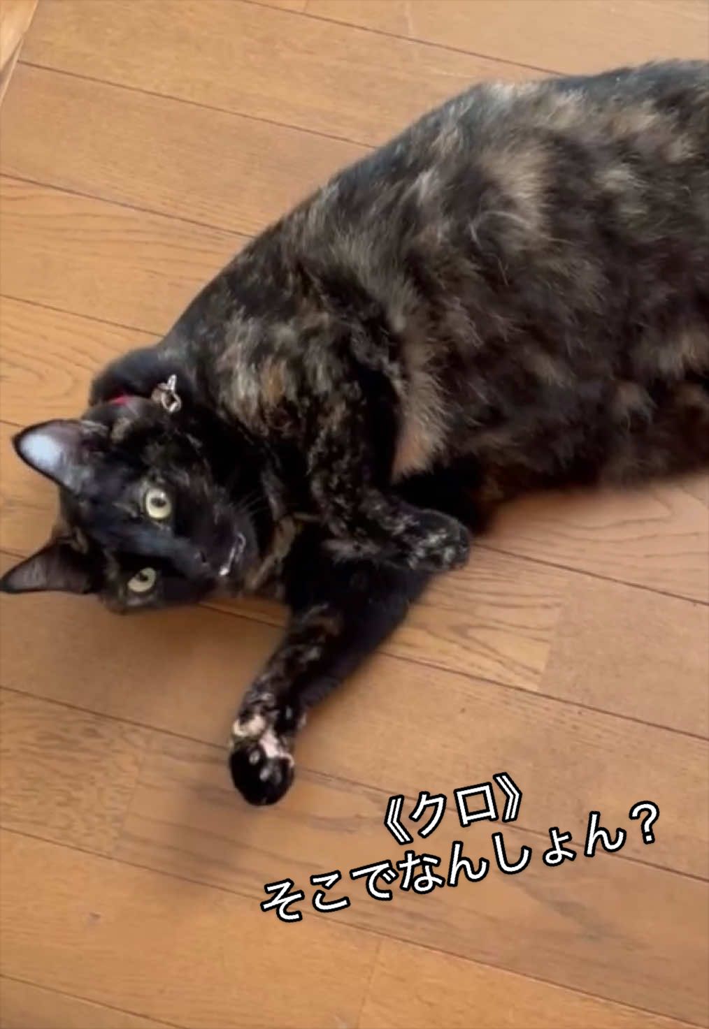 @聴々物語PROJECT