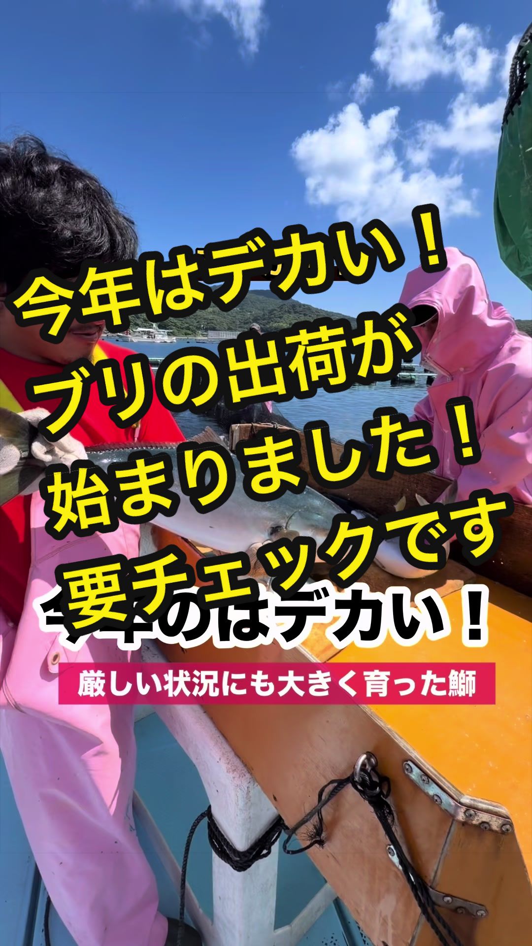 @長崎のイケメン漁師@坂野水産