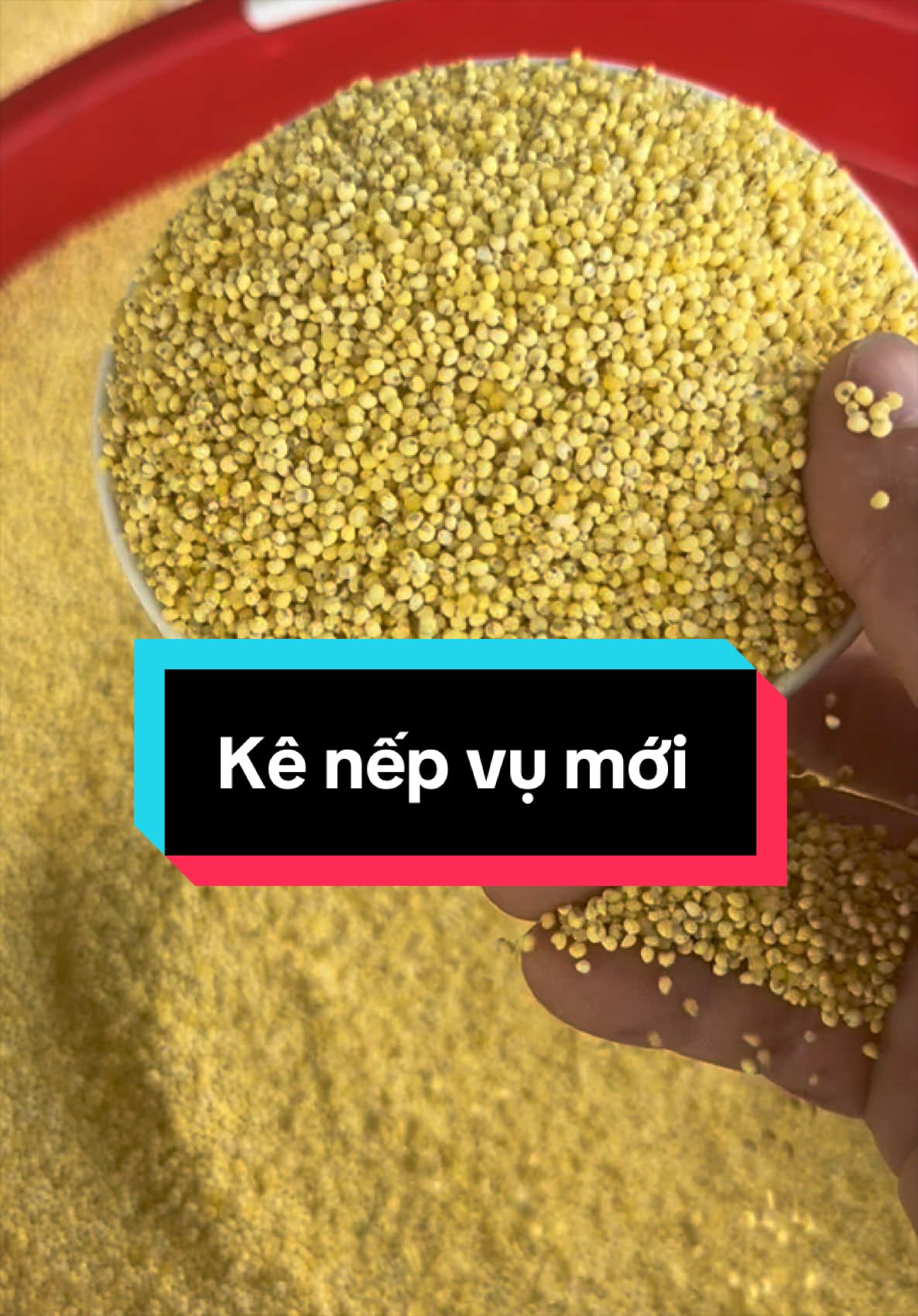 @Thoả Beo Foods - đặc sản