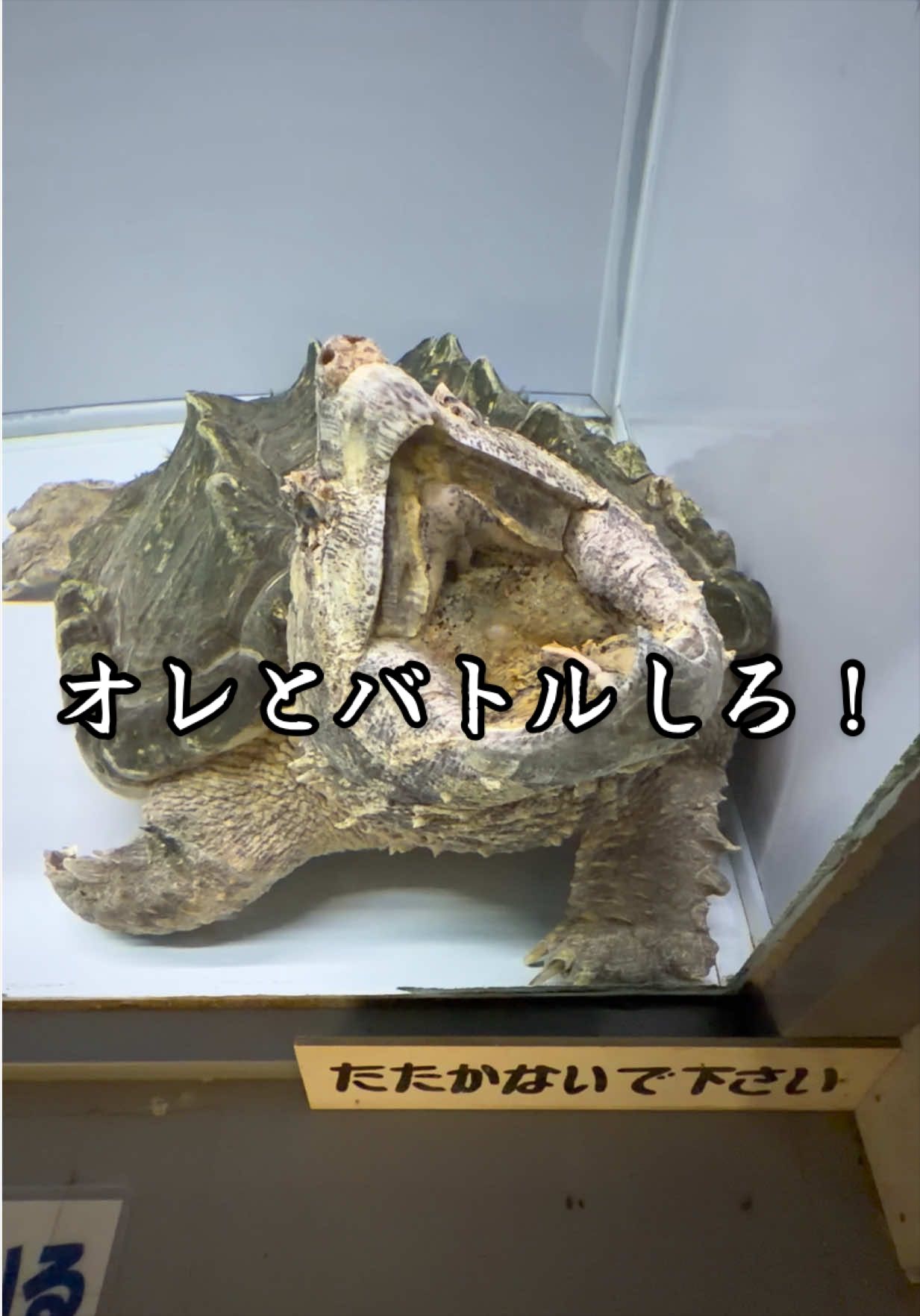 @草津熱帯圏
