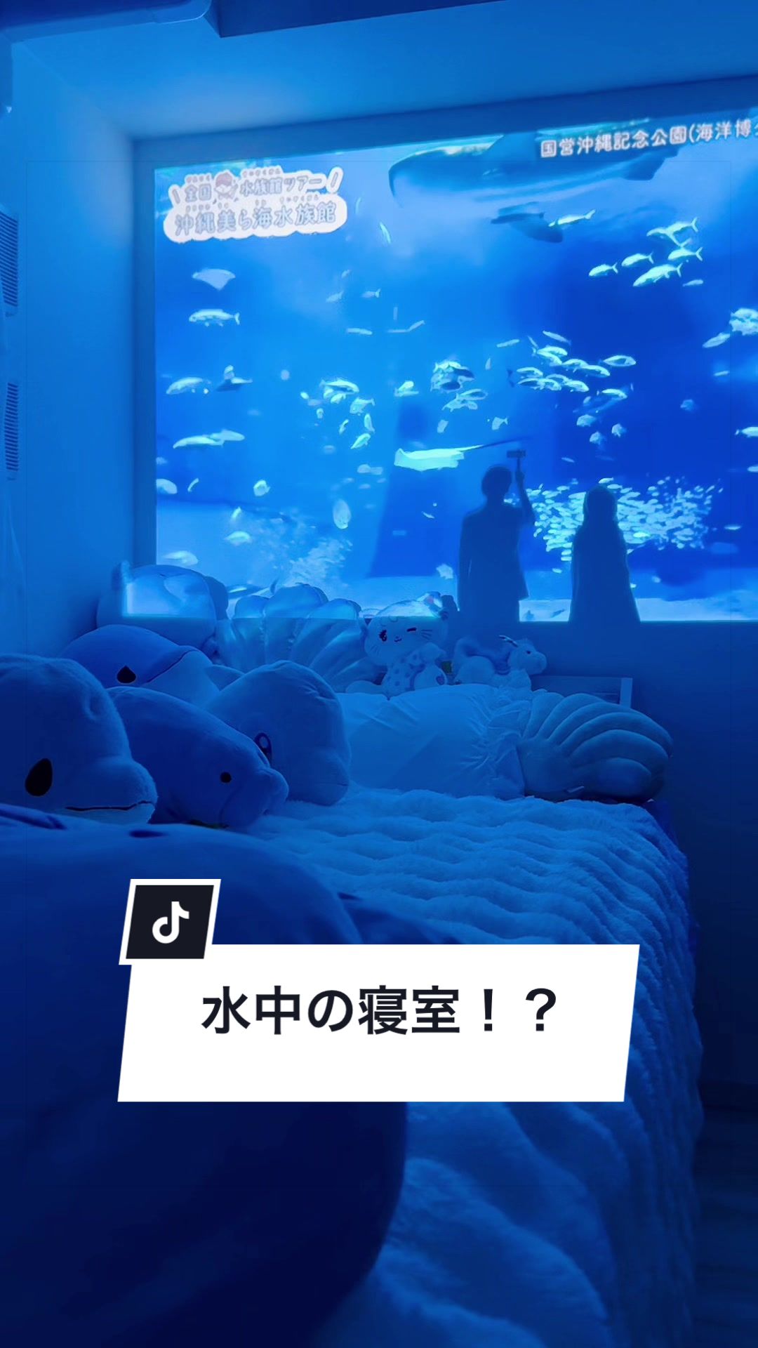 @みいるか🐬🎨