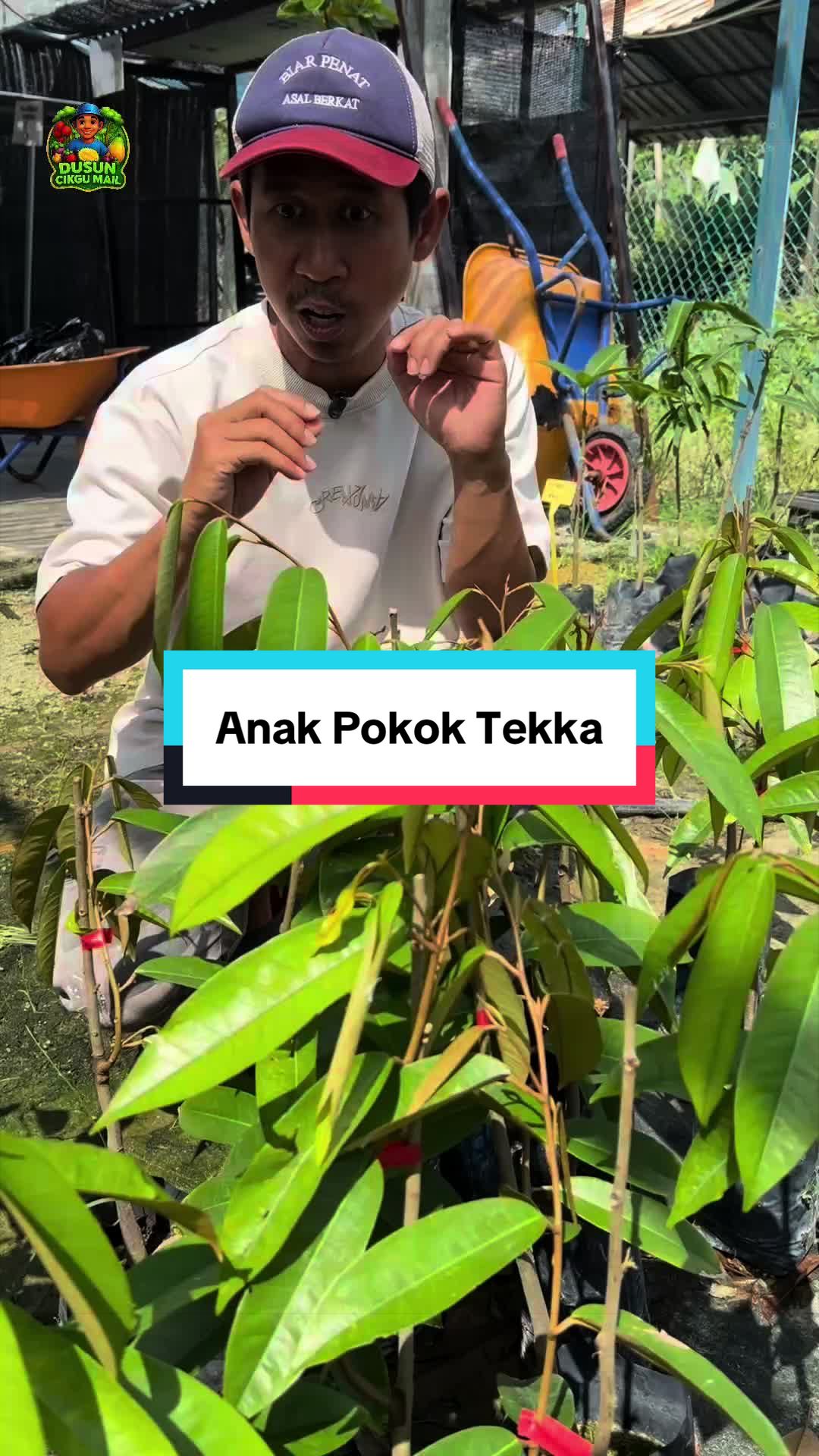 @Dusun Cikgu Mail
