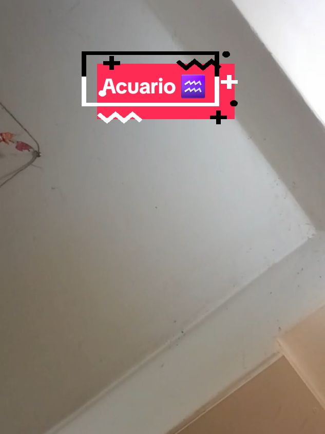 @psicóloga ele⭐💕