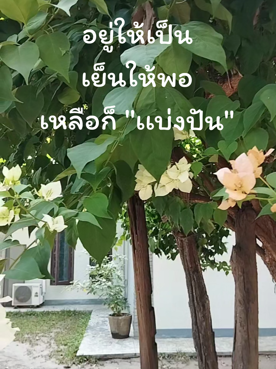 @ร้านจันทร์สม ตู้พระมงคล