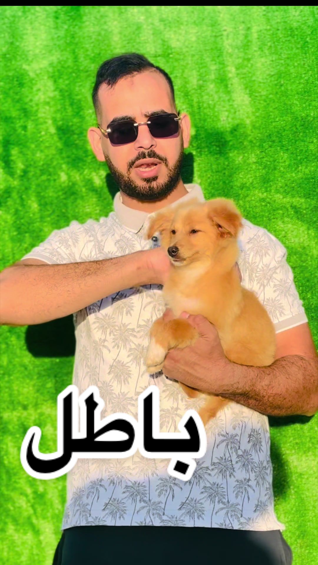 @husky Athena🇩🇿🇹🇳🇲🇦