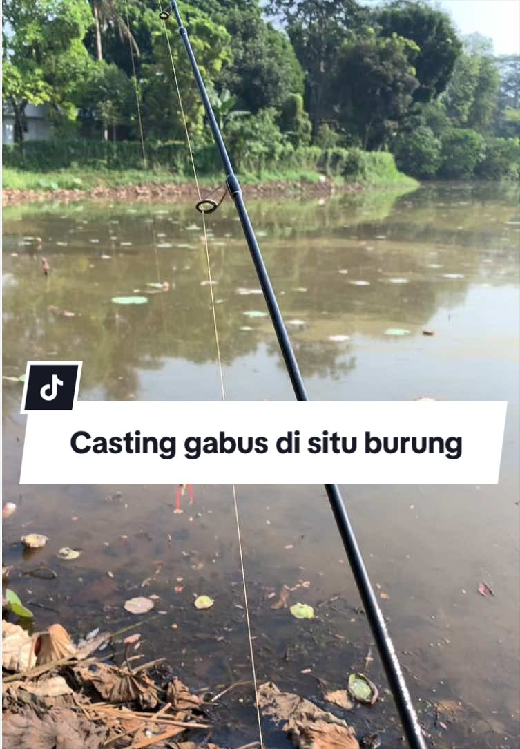 @Bang Fajri 🎣