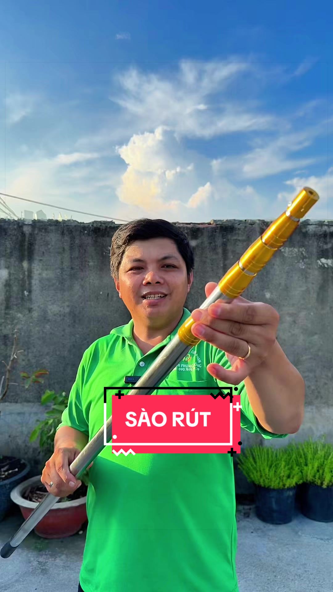 @C&acirc;y Xanh Phong Hồng