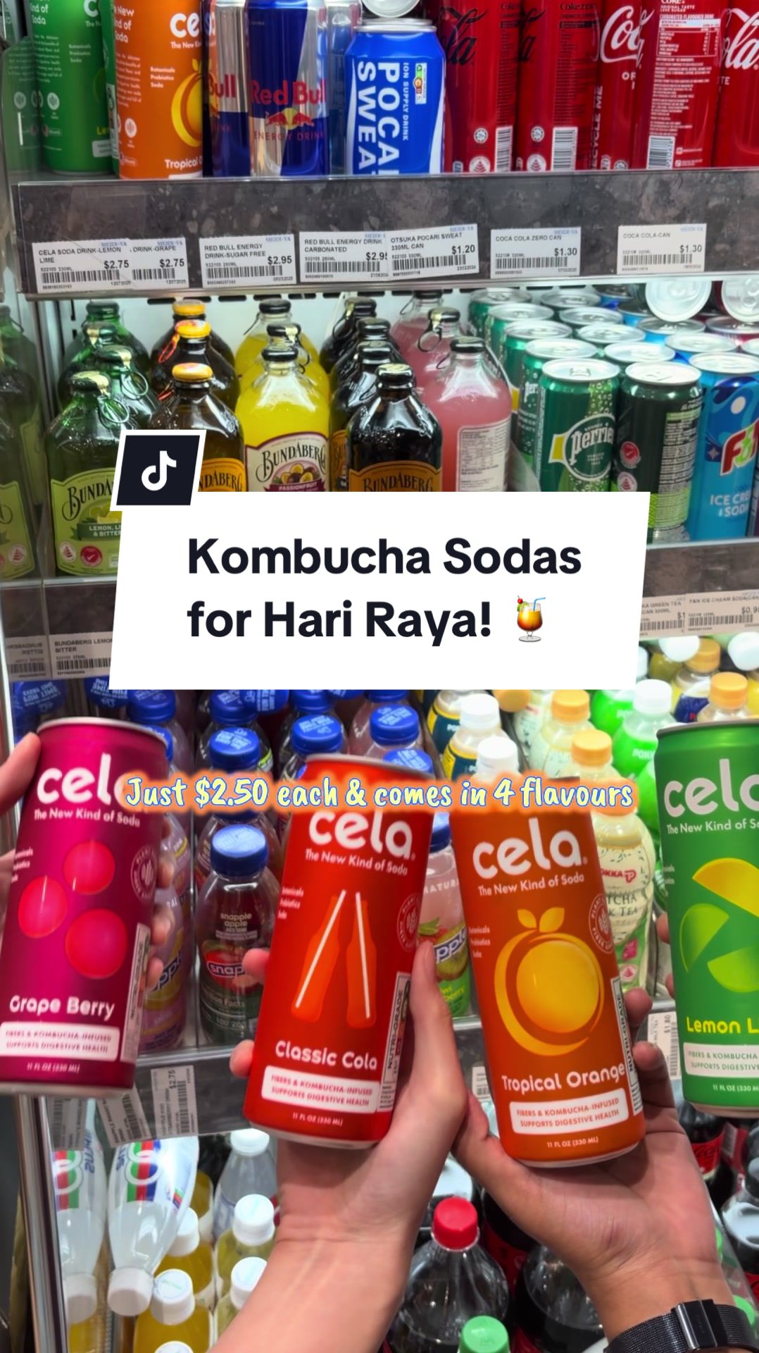 @thehalalfoodie.sg
