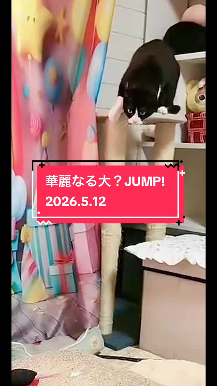 @👑ミキティ👑🙀🍜🙀🌿