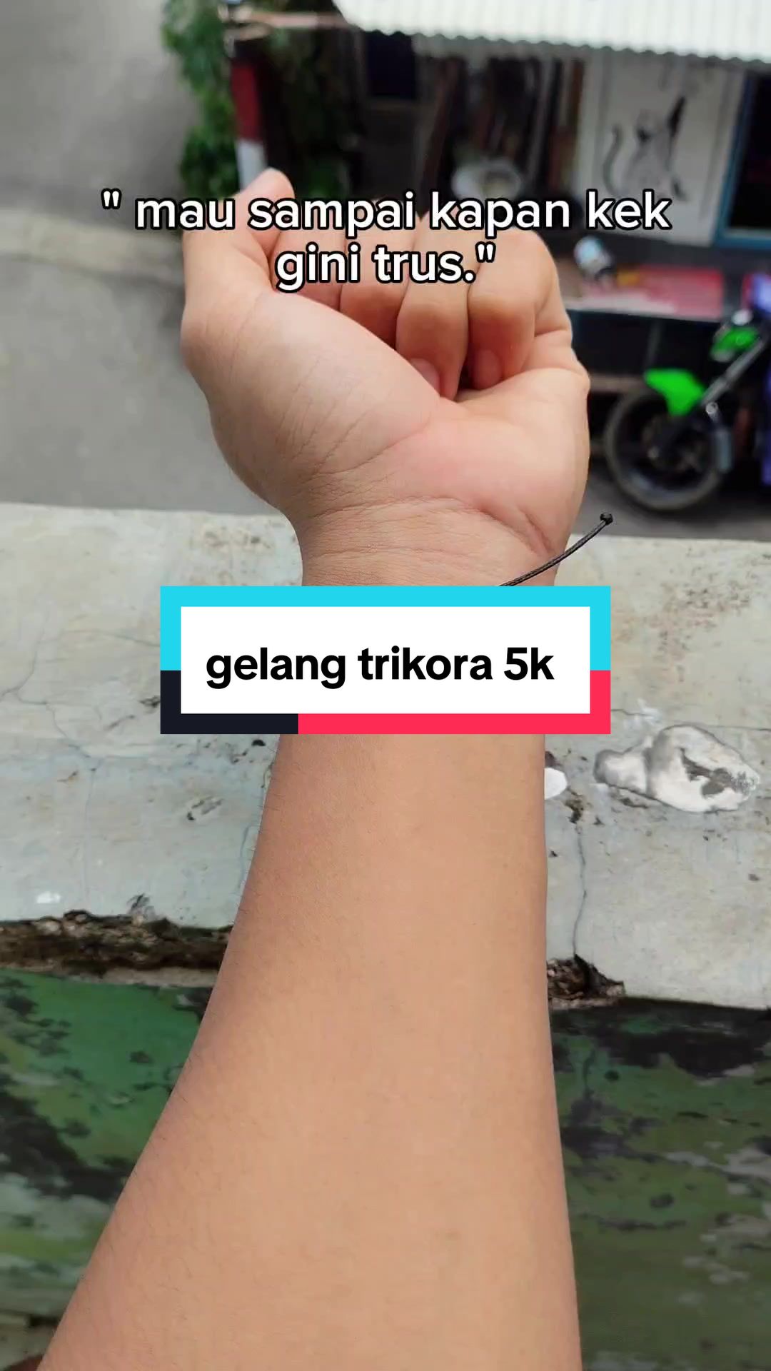 @Hamstore 🛒