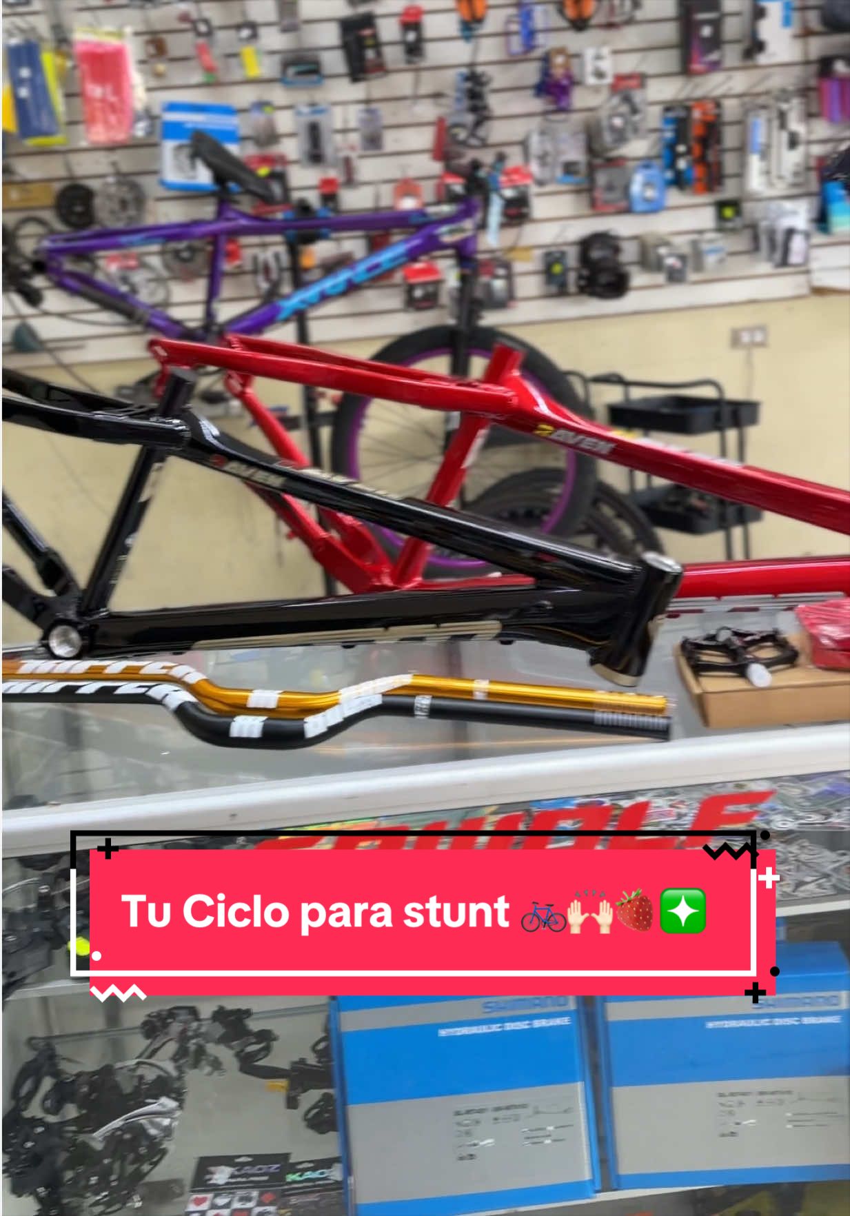@Bike Center Ruiz