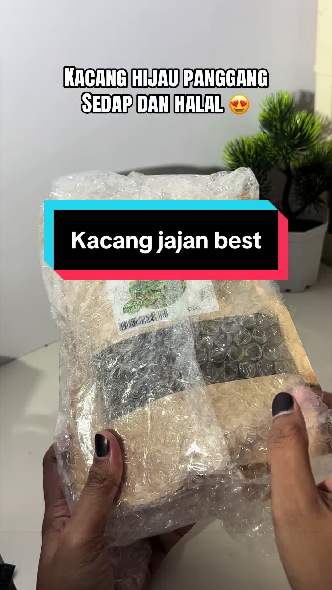 @Netizen Malaya