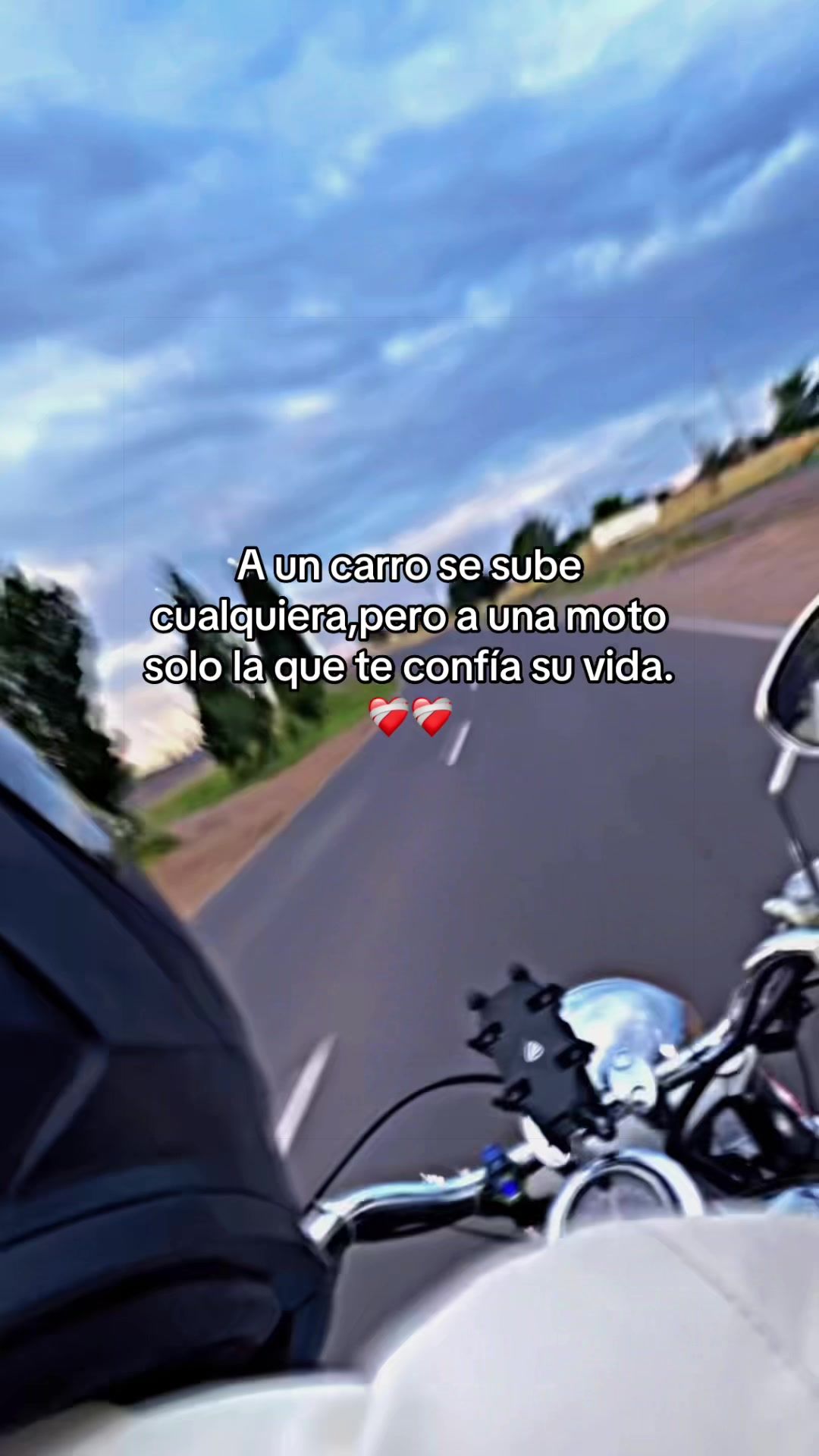@Fernanda Nevarez