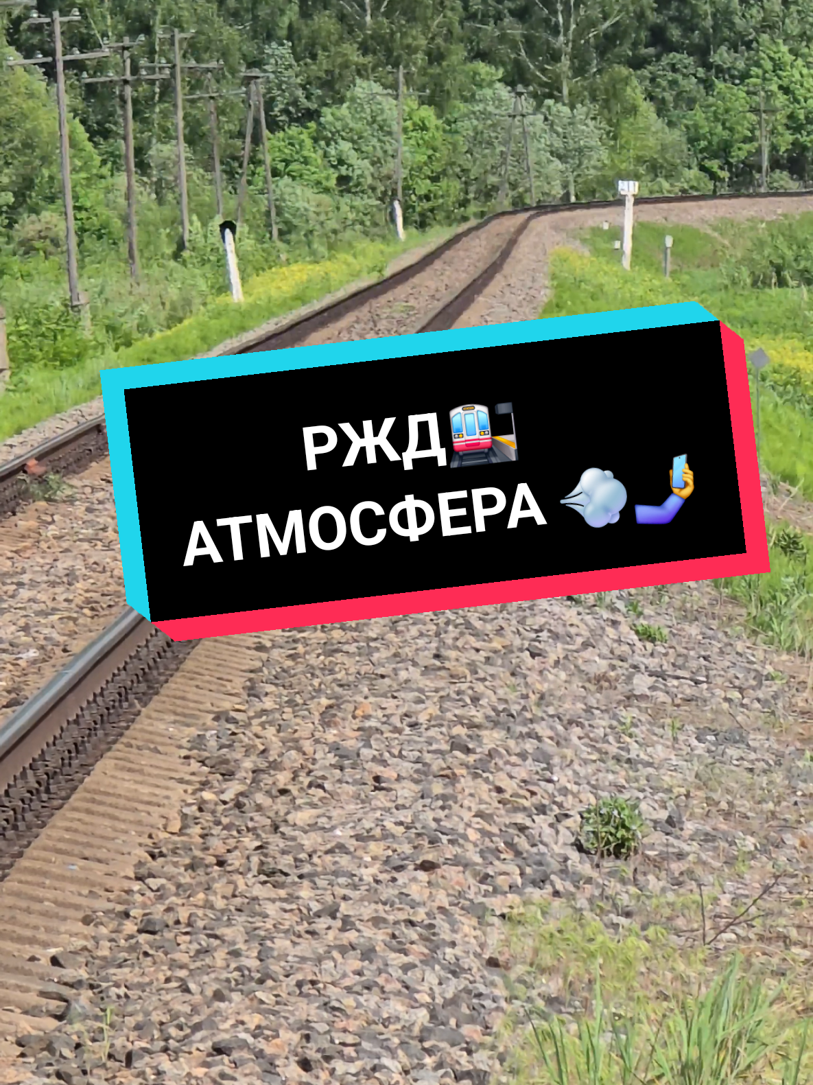 @Дмитрий Шейкин