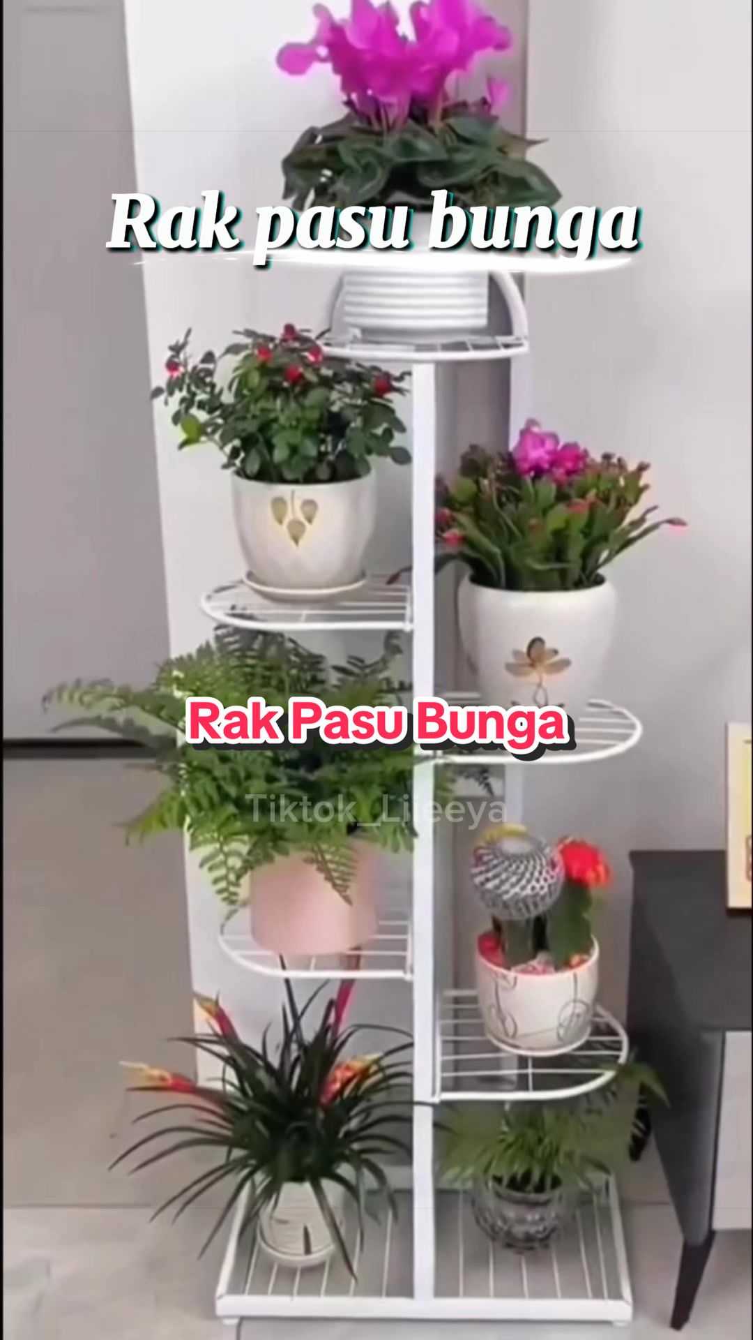 @Liya