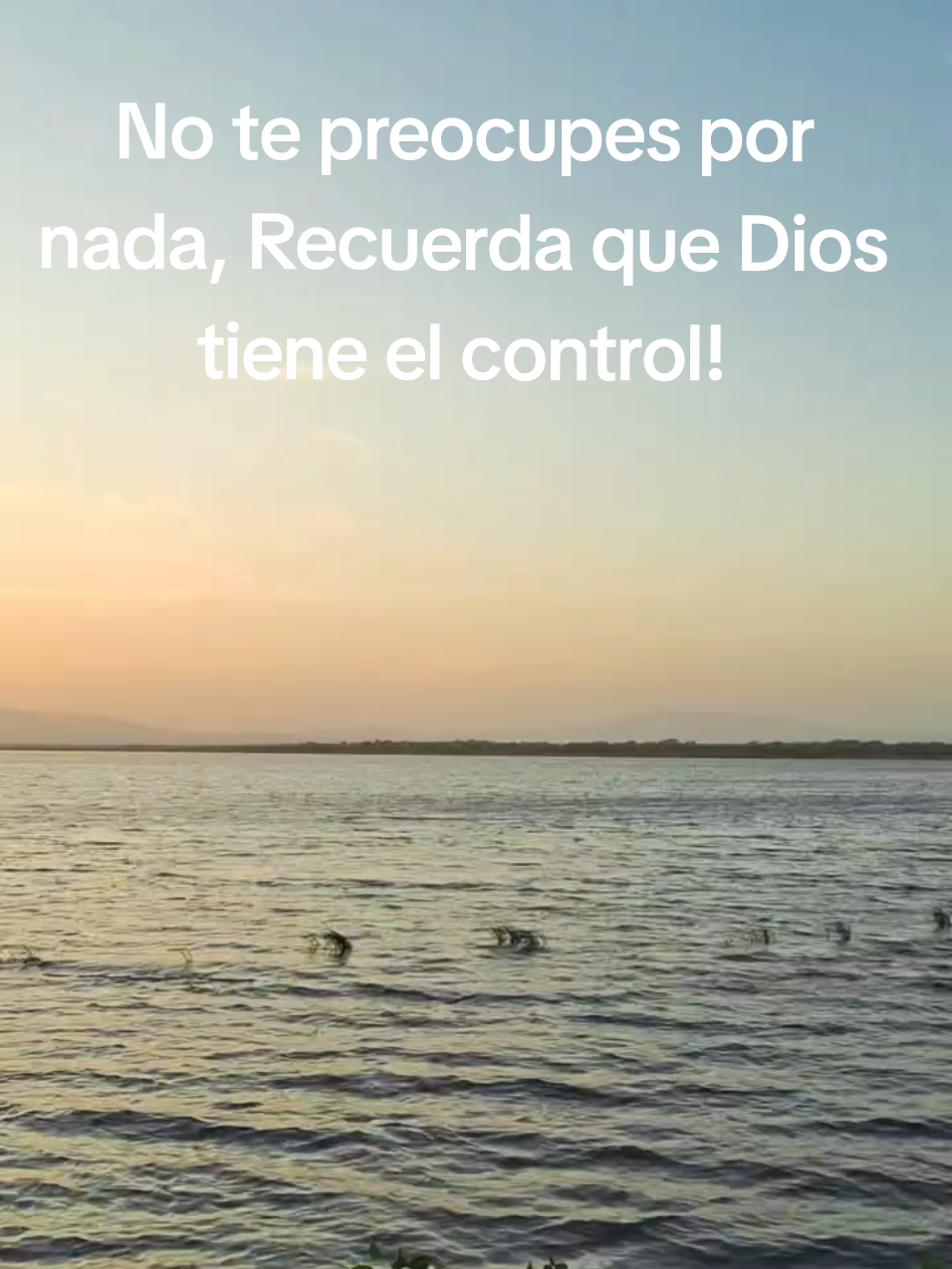 @Patricia Berdugo