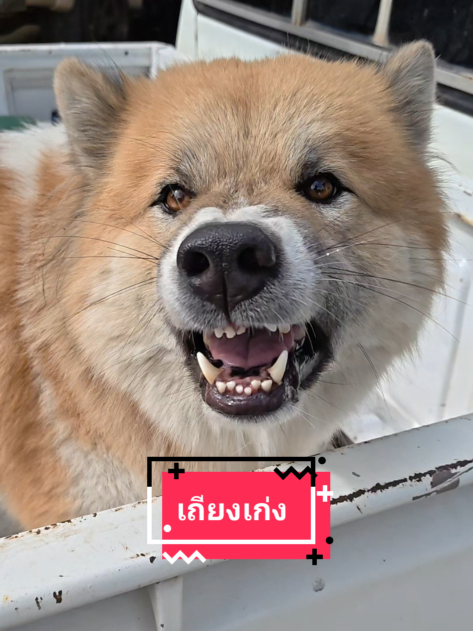 @หลิวหลิว แม่พี่ธอร์