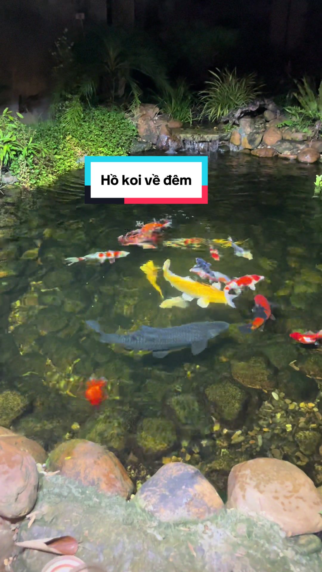 @Đ&H Team