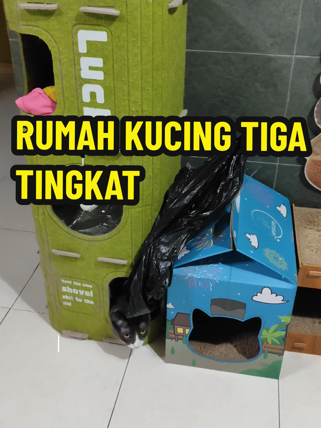@Omma Kucing 🇲🇾🍉