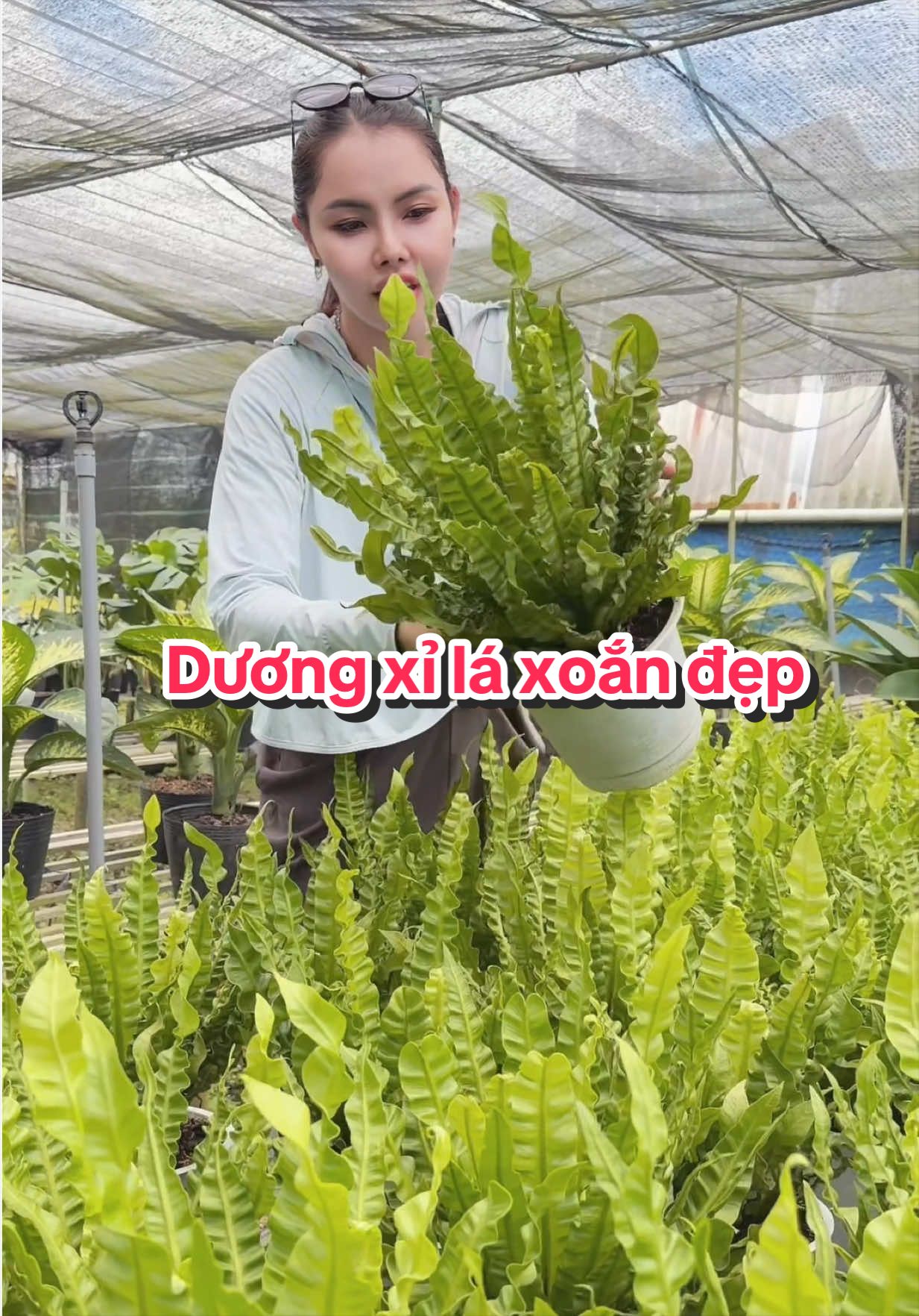 @Tiệm Lá Nhỏ