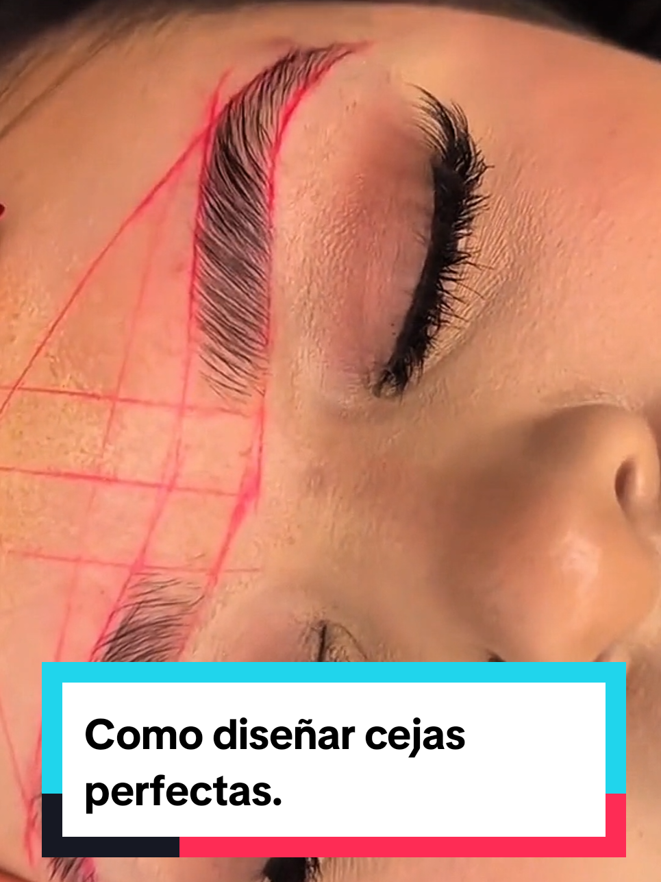 @CEJAS.EXPERT