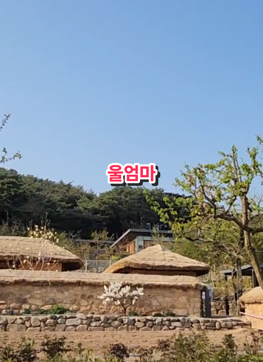 @원픽스튜디오