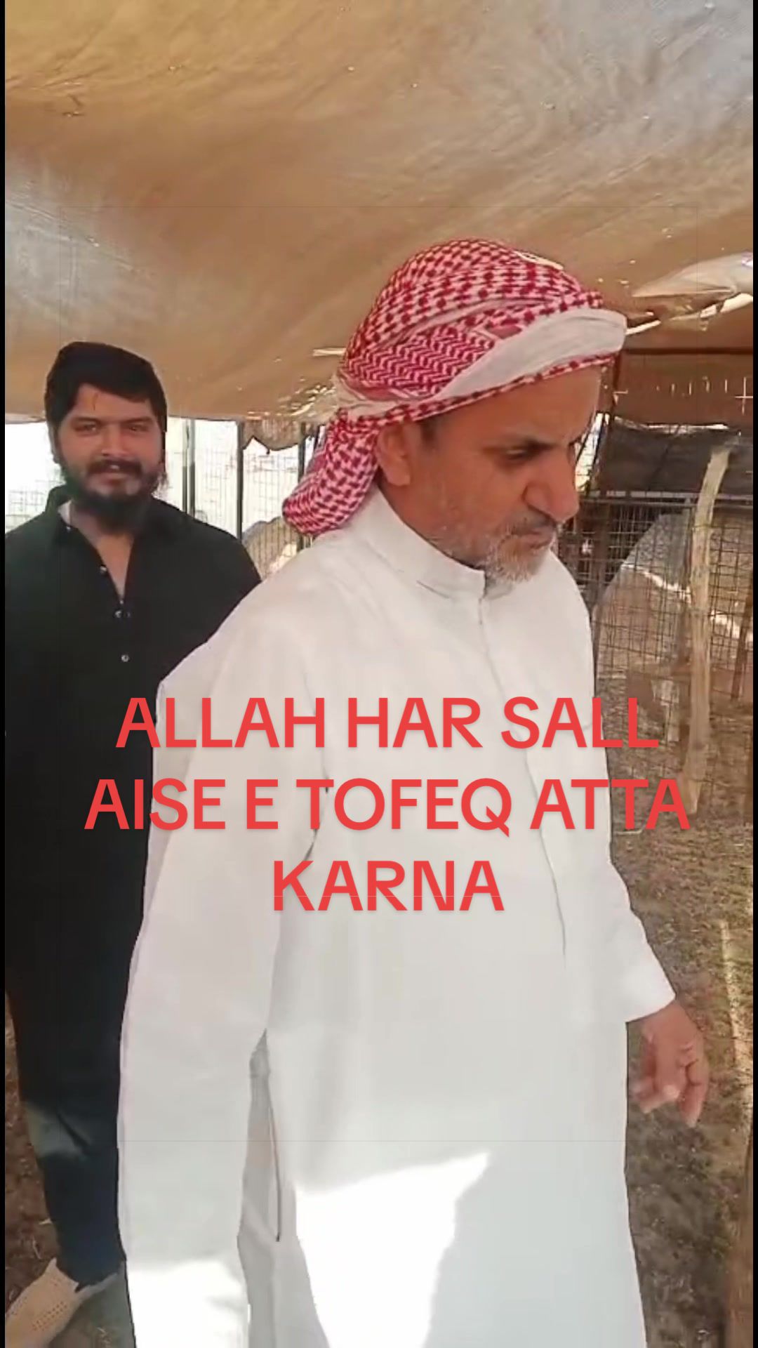 @Bilal Gujjar 👑