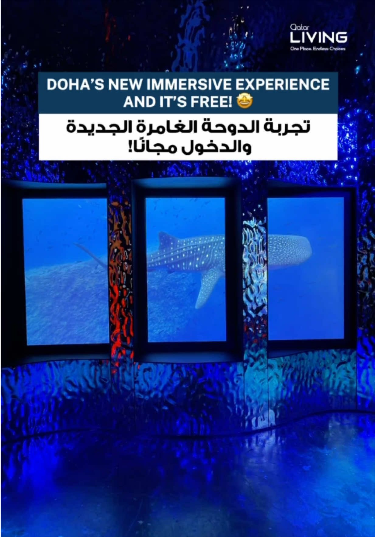 @Qatar Living