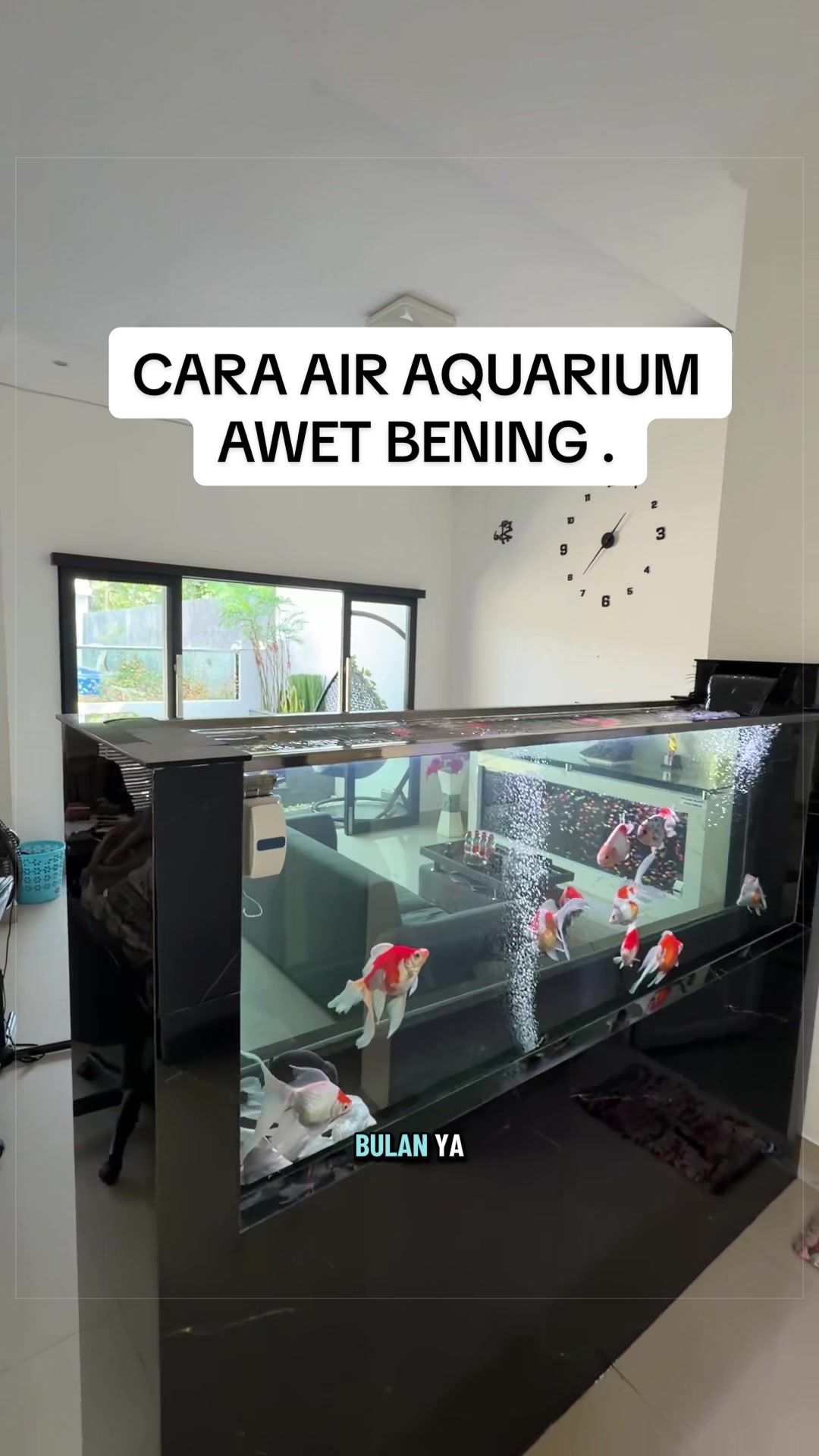@NUR KOLAM JAWA TIMUR
