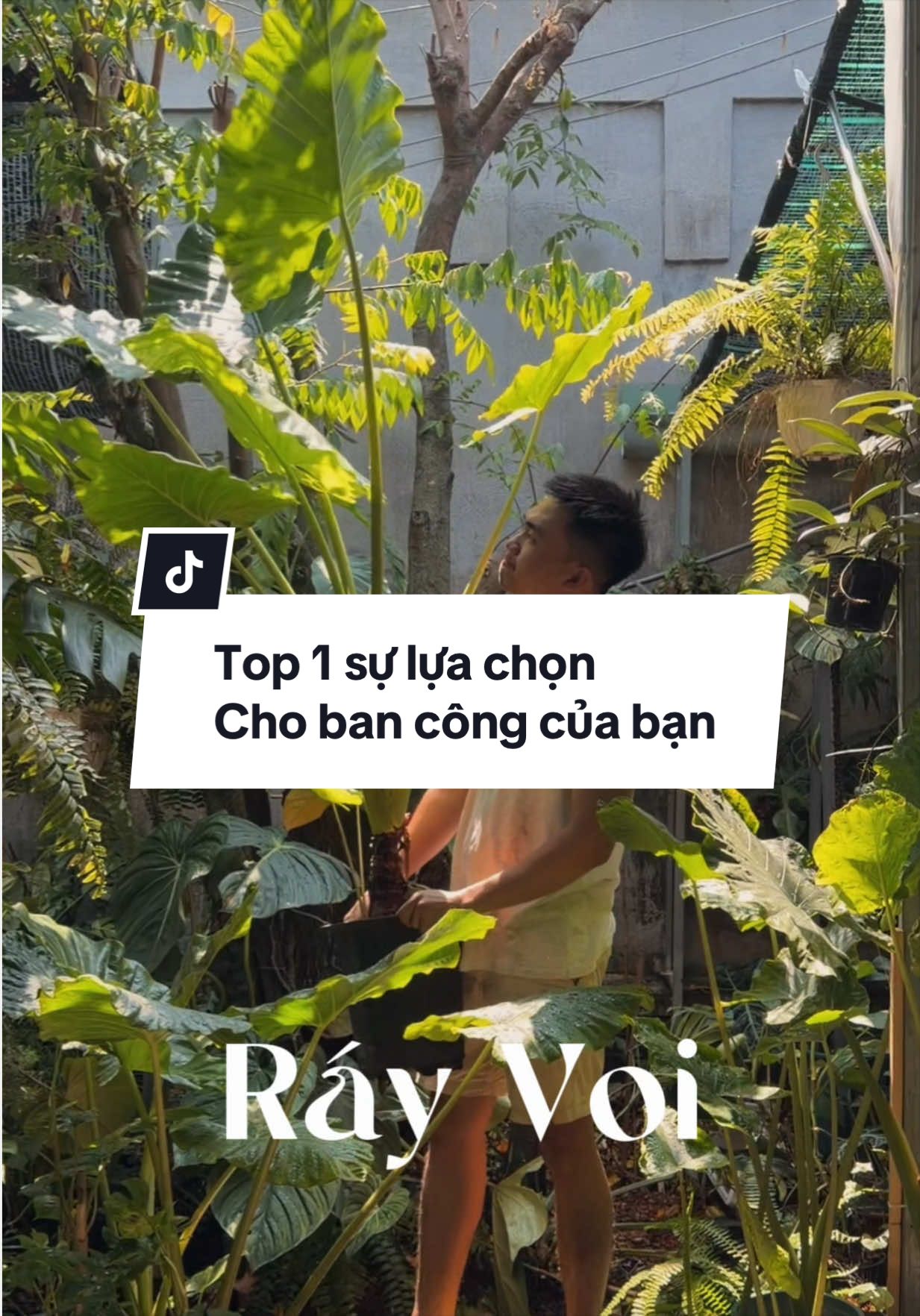 @Vuoncuakien