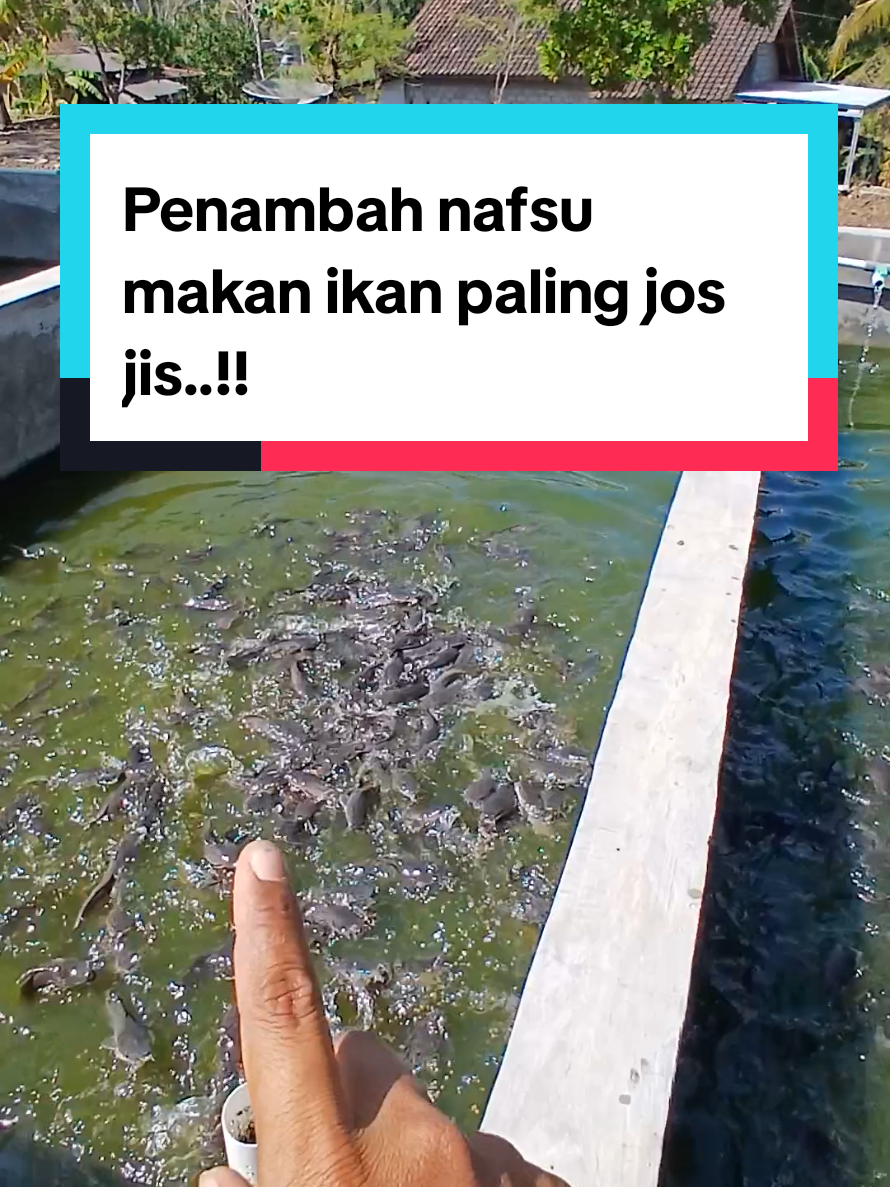@Kang_Ewi
